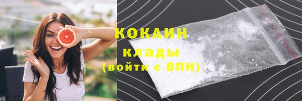 МДПВ Новозыбков