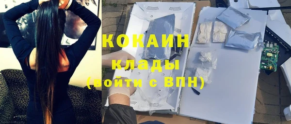 МДПВ Новозыбков