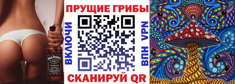 Купить где  Неман  Галлюциногенные грибы прущие грибы 